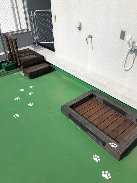 屋上ドッグラン