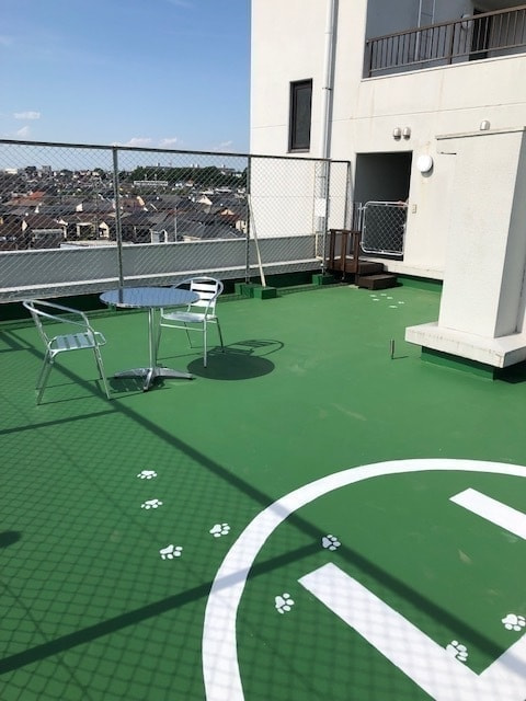 屋上ドッグラン